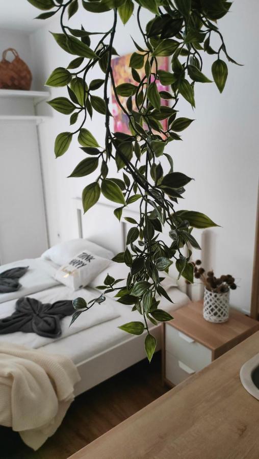 Super Cozy & Central Apartment Budapešť Exteriér fotografie